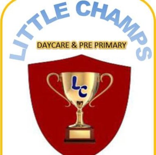 Little Champs Daycare & Pre-primary School banner