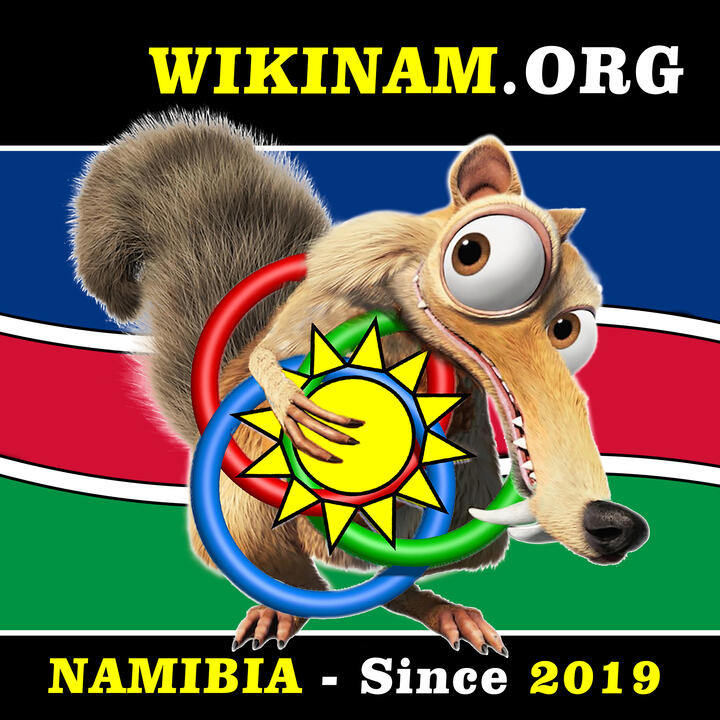 WIKINAM ICTS (Windhoek) banner