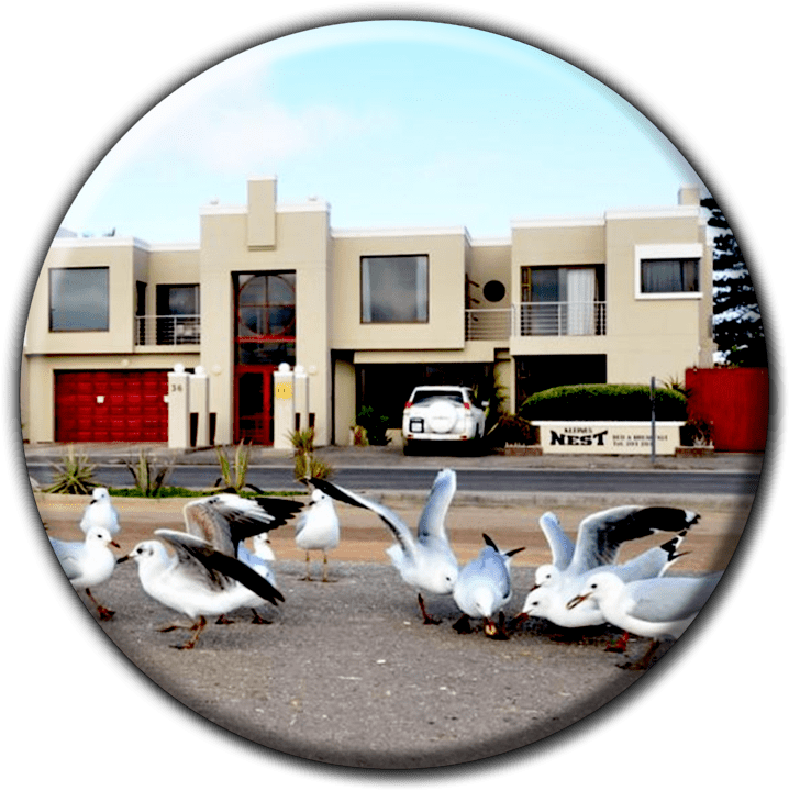 Kleine's Nest Bed & Breakfast banner