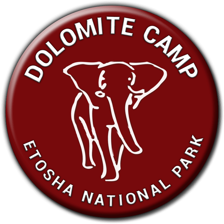 Dolomite Camp banner