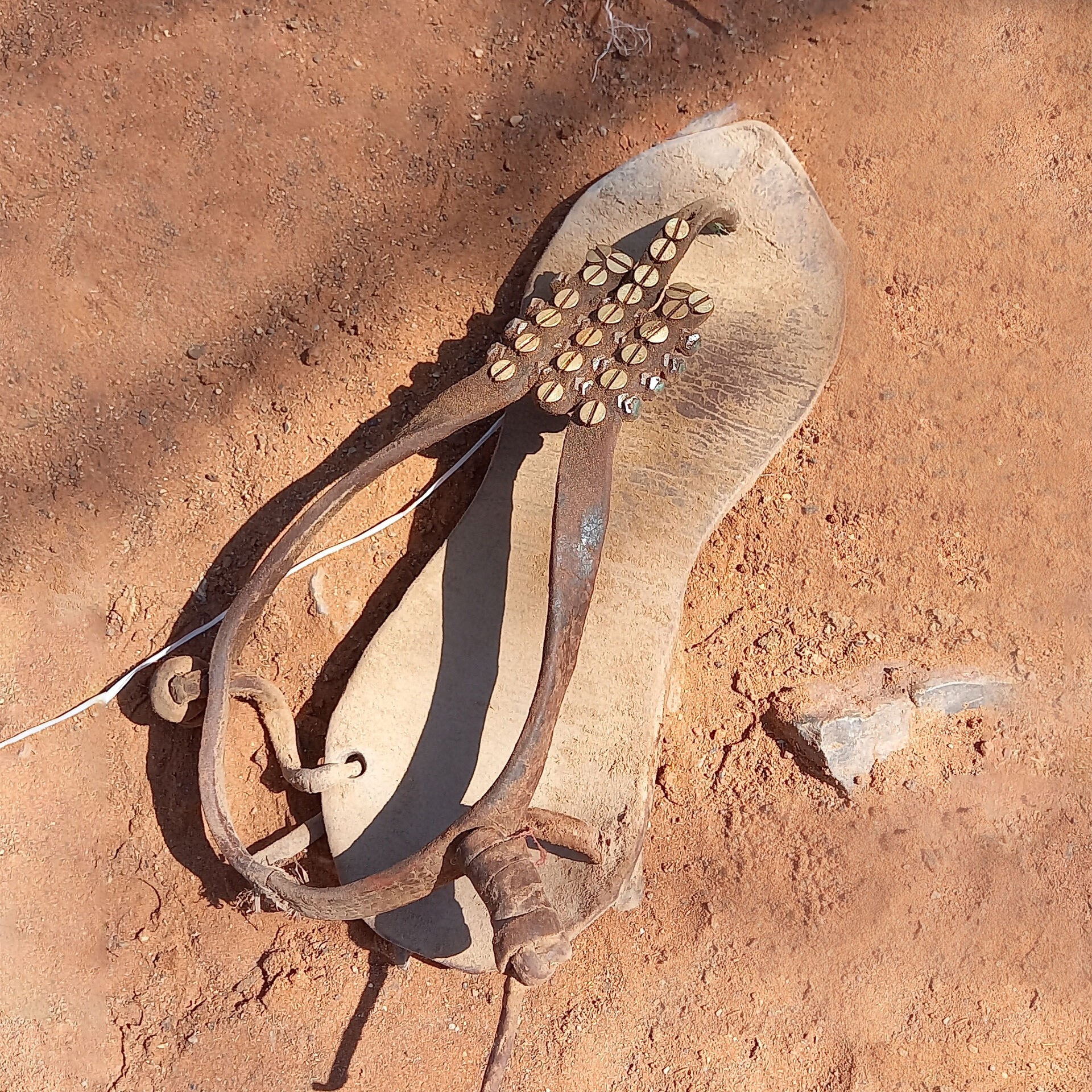 1000117547-cropped.jpg