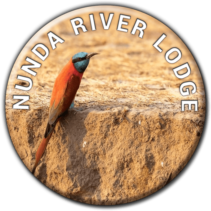Nunda River Lodge banner