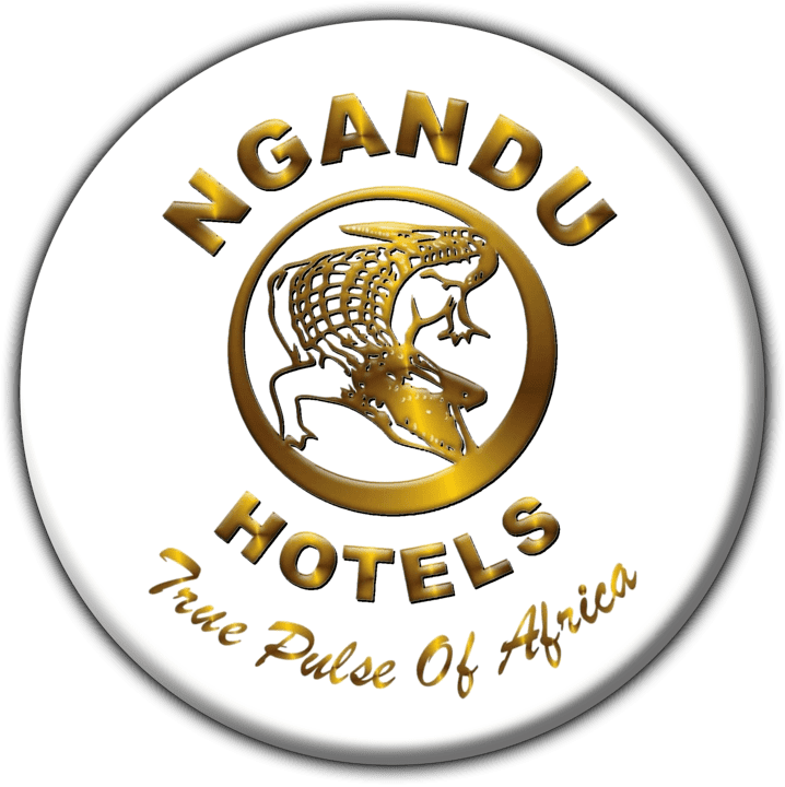 Ngandu Safari Lodge banner