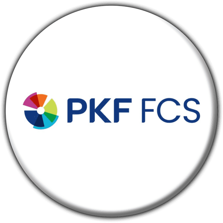 PKF Financial Consulting Services banner