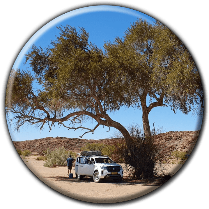 African Tracks 4X4 Car Hire banner