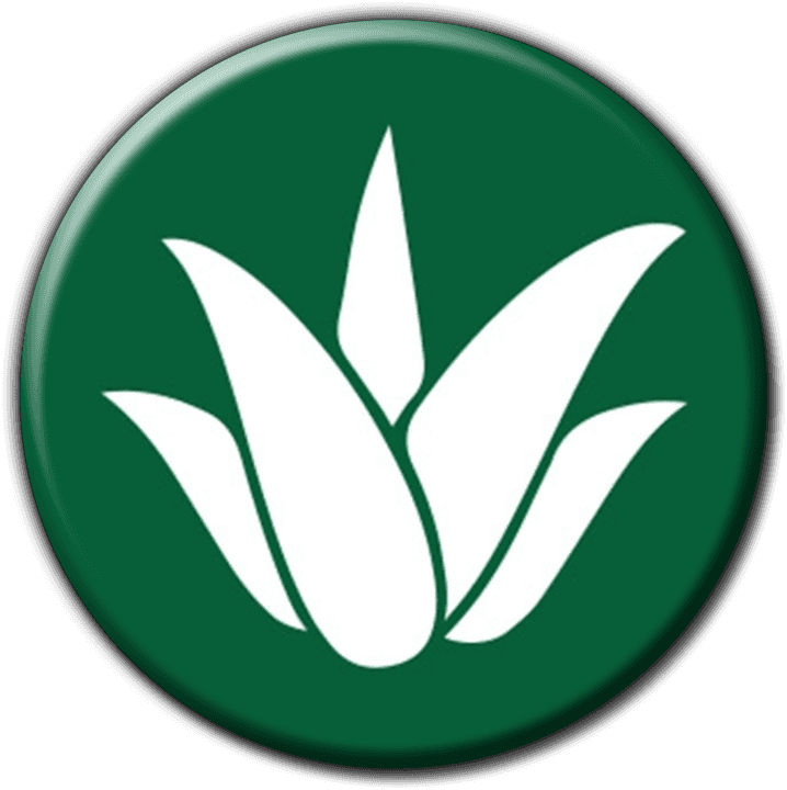 Aloe 4X4 Car Hire banner