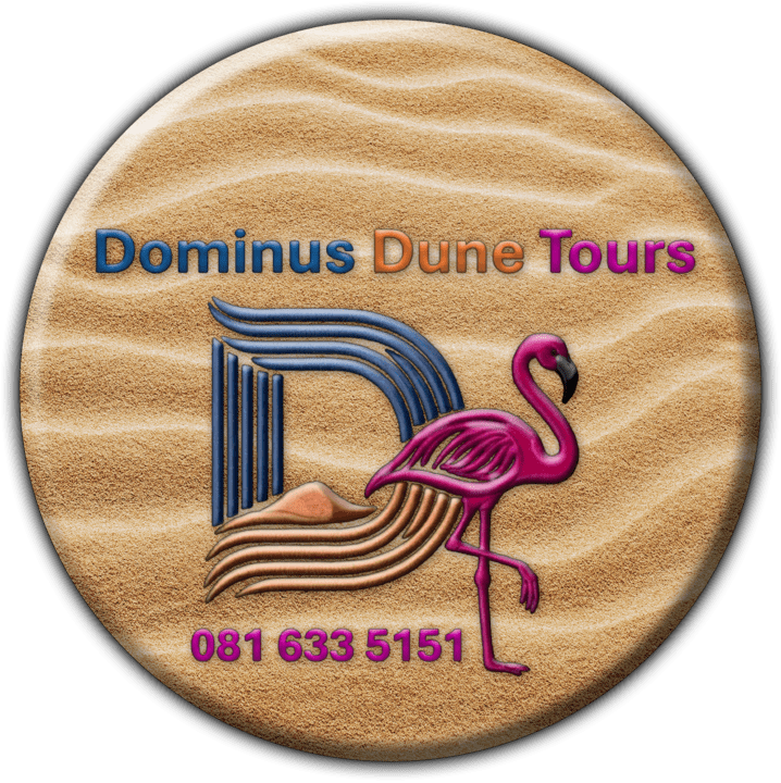 Dominus Driving School banner