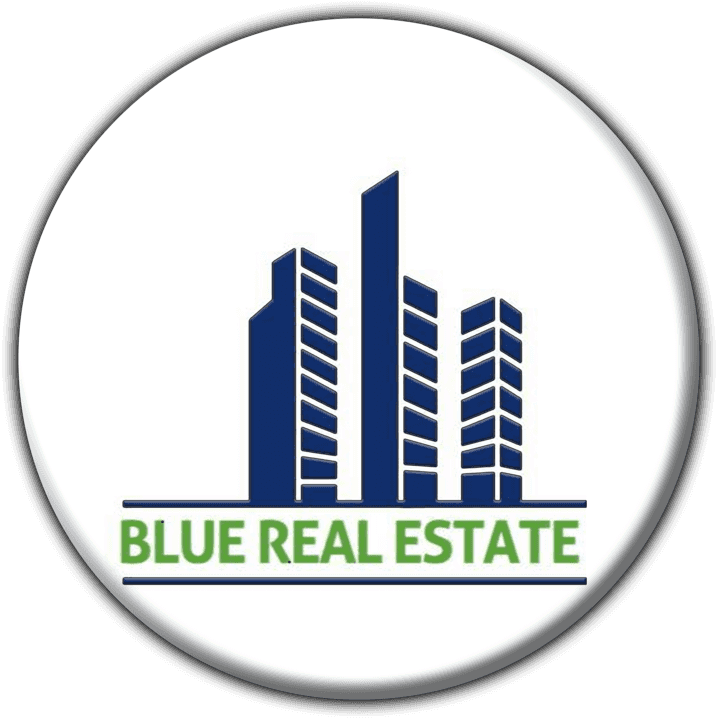 Blue Real Estate banner