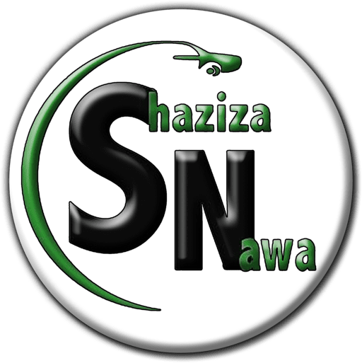 Shaziza Nawa Automotive banner