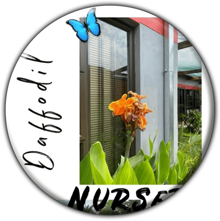 Daffodil Gardens banner