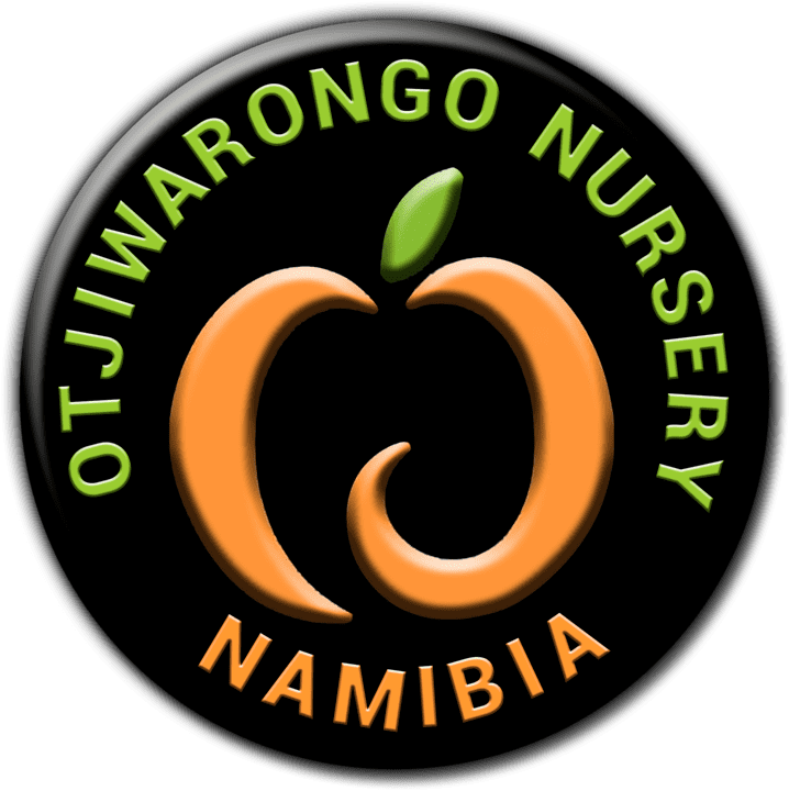 Otjiwarongo Nursery Flintstone Creation banner
