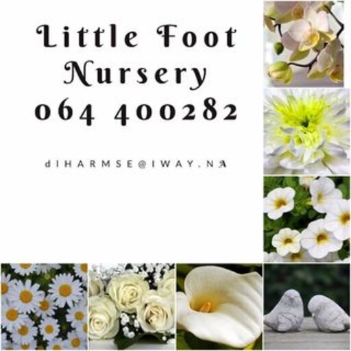 Little Foot Nursery banner