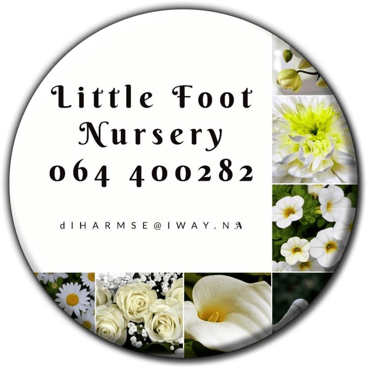 Little Foot Nursery banner