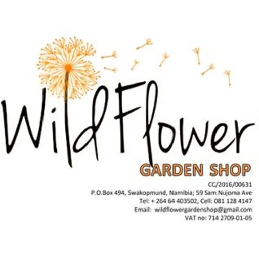 Wild Flower banner