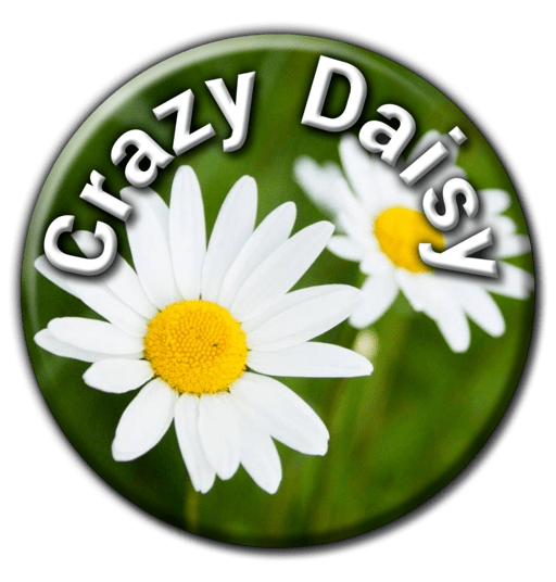 Crazy Daisy Nursery banner