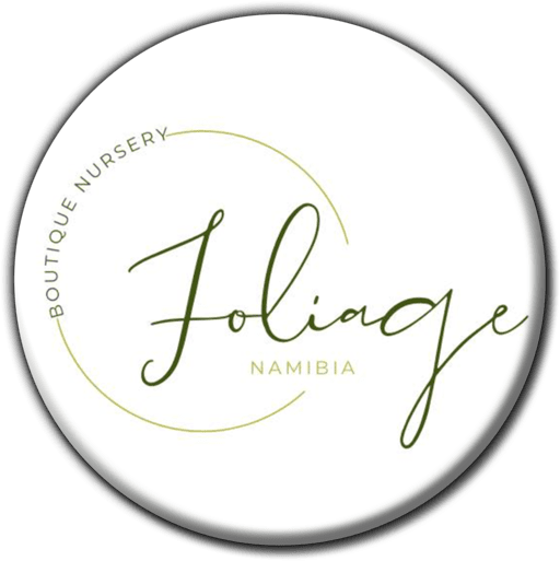 Foliage Boutique Nursery banner