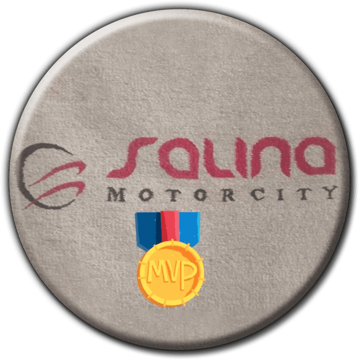 Salina banner