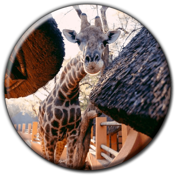 Omaruru Game Lodge banner