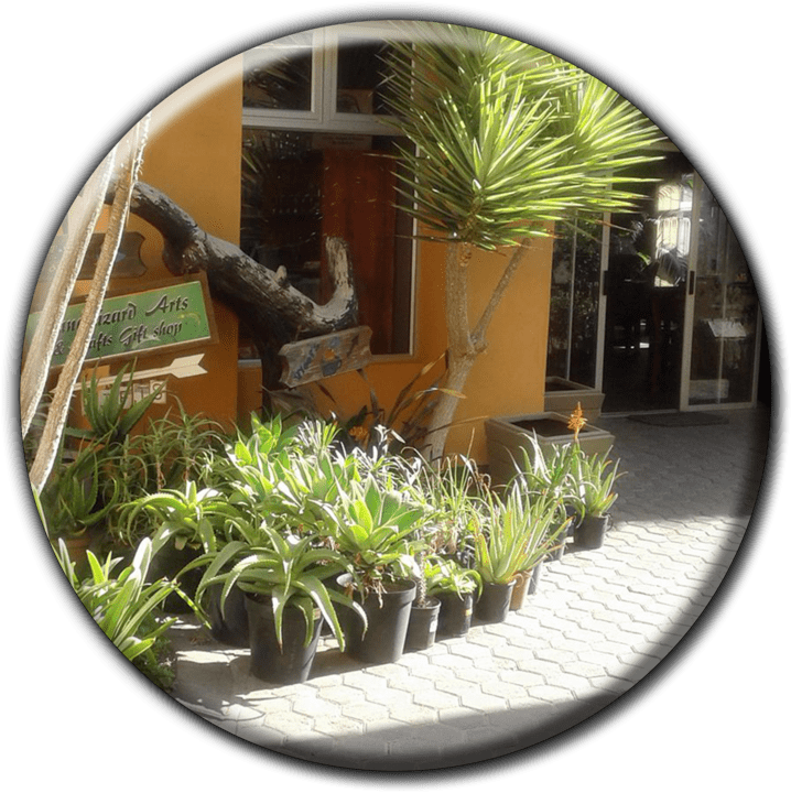 Vlooi's Nest Coffee Shop banner