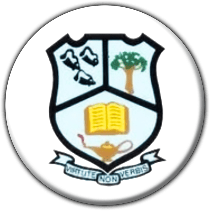 PK de Villiers Secondary School banner