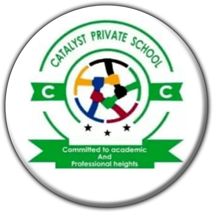 Catalyst Private School banner