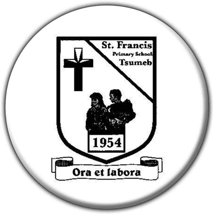 St.francis Primary School banner