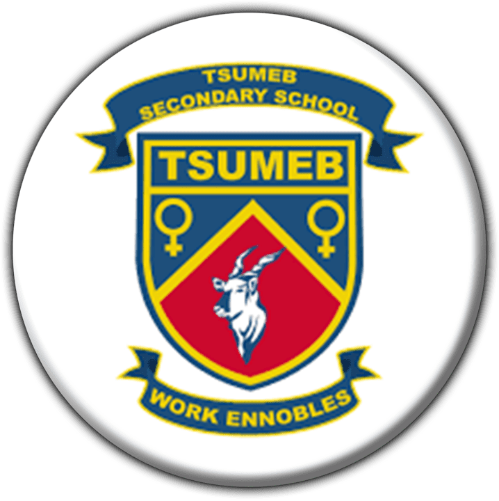 Tsumeb Secondary School banner
