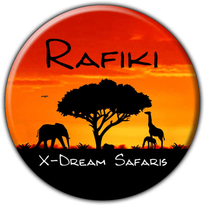 Rafiki X-Dream Safaris banner
