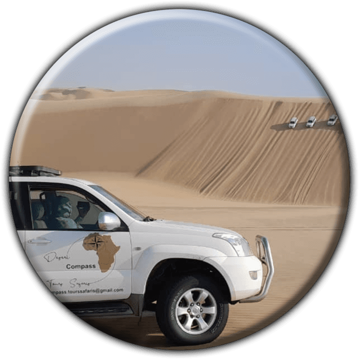 Desert Compass Tours and Safaris (Walvis Bay) banner