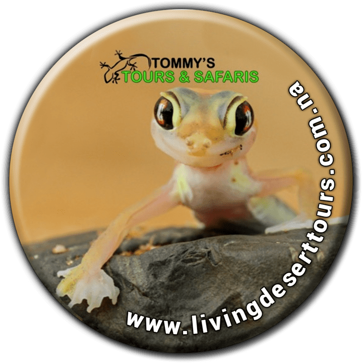 Tommy's Living Desert Tours banner