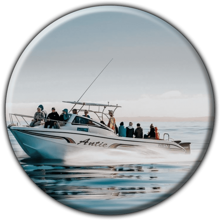 Levo Dolphin Tours & Chalets banner