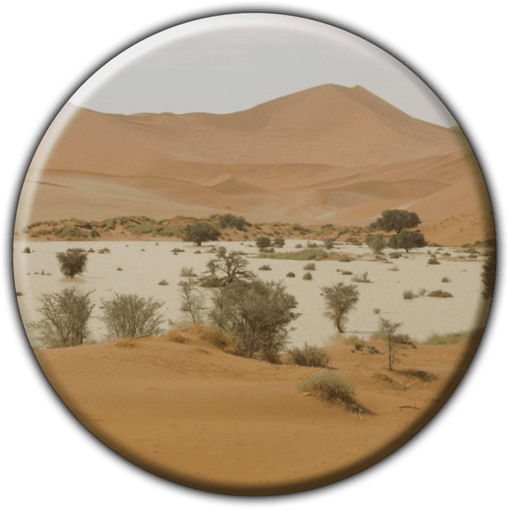 Namibia Coast Tours & Self Catering banner