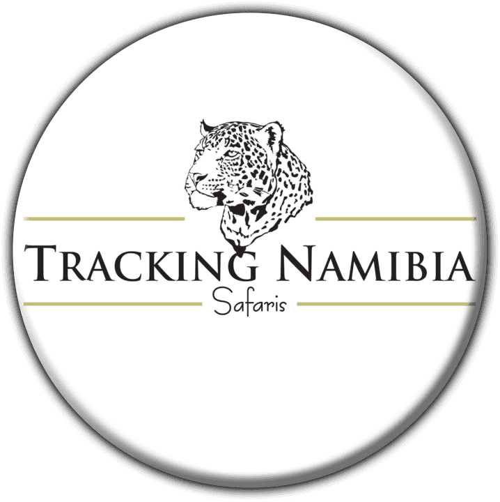 Tracking Namibia Safaris banner