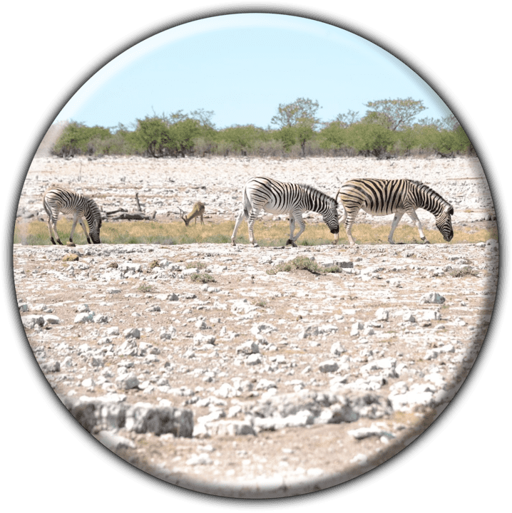 African Blue Sky Tours and Adventures banner