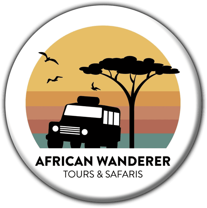 African Wanderer Tours + Safaris banner