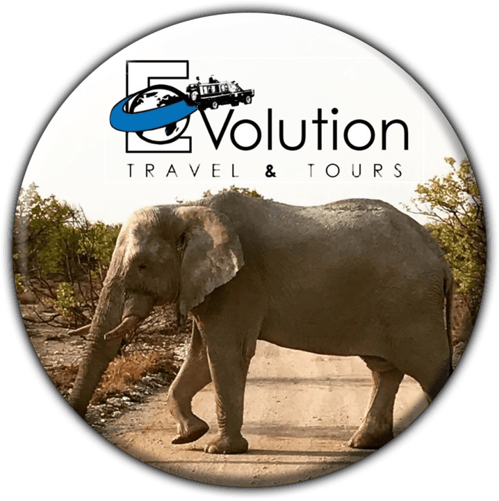 Evolution Travel and Tours banner