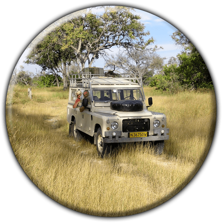 Kindogo Safaris banner