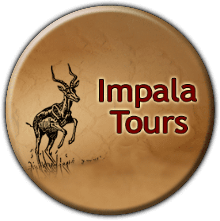 Namibia Safaris banner