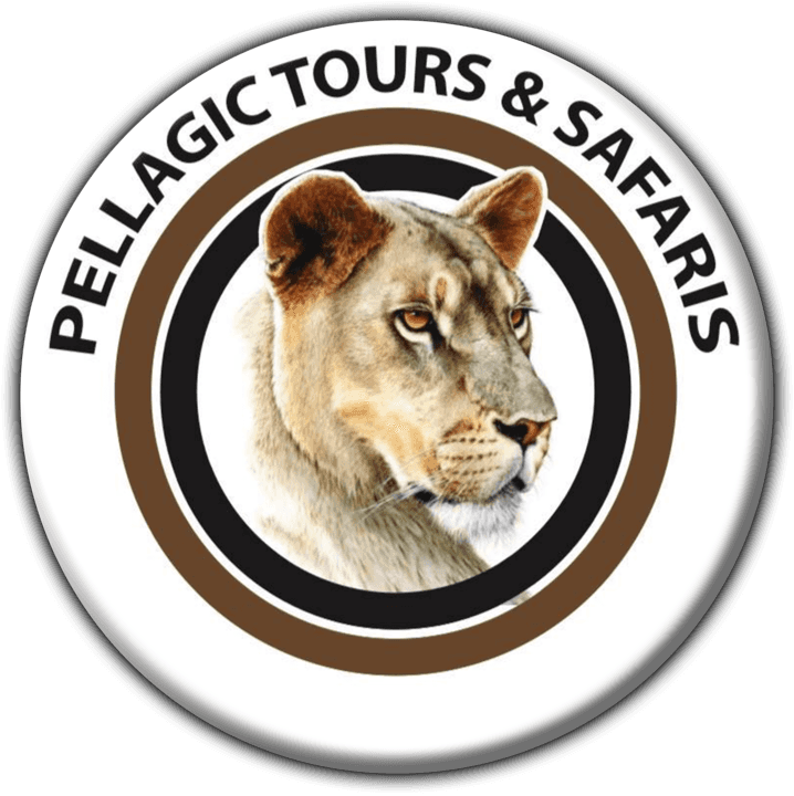 Pellagic Tours and Safaris banner