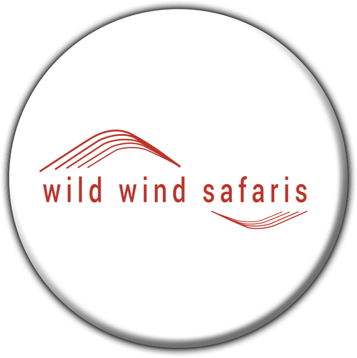 Wild Wind Safaris banner