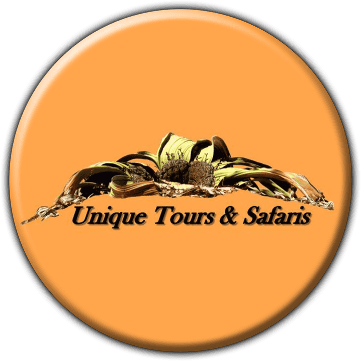 Unique Tours and Safaris banner