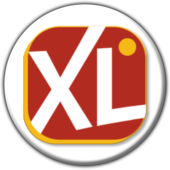 XL The Travel Professionals banner