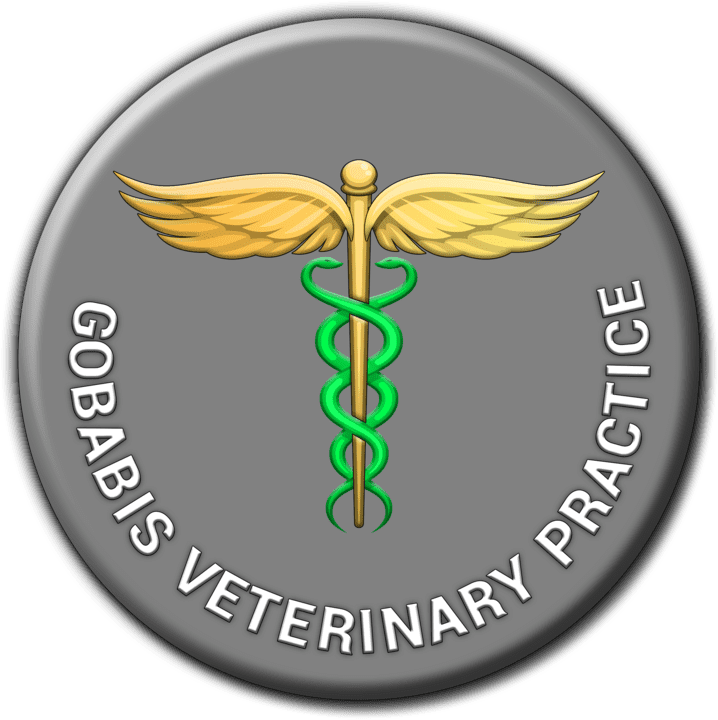Gobabis Veterinary Practice banner