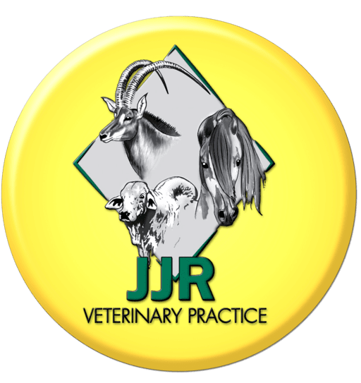 JJR Veterinary Practice banner