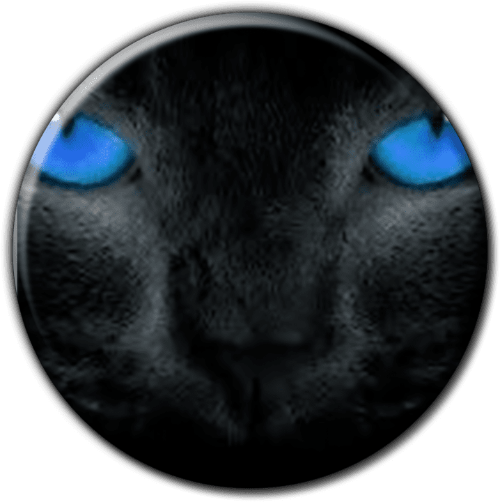 VetsWeb banner
