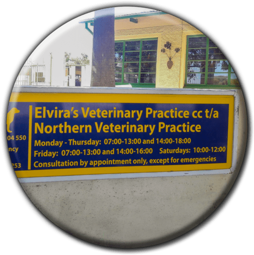 Northern Veterinary Practice banner