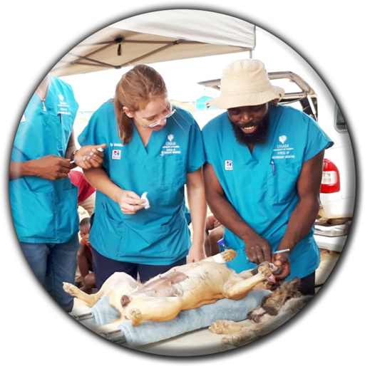 State Veterinary Outjo banner