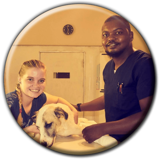 Tsumeb Veterinary Clinic - Veterinary Hospitals & Clinics in Tsumeb, Namibia