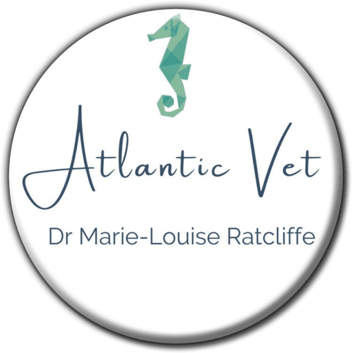 Atlantic Veterinary Practice banner