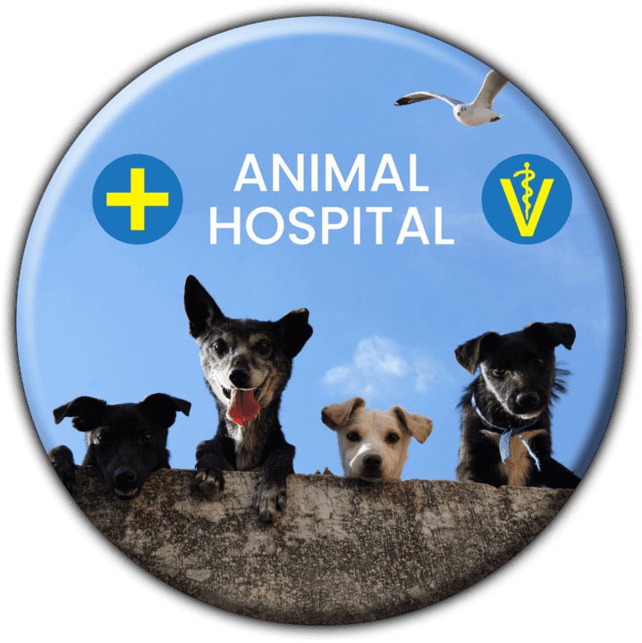 Animal Hospital banner